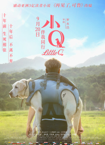 视频二区中文字幕